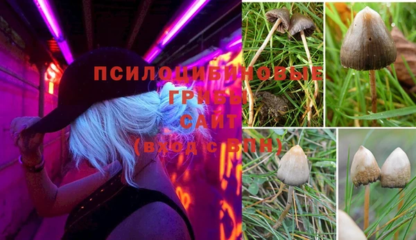 кристаллы Богородск